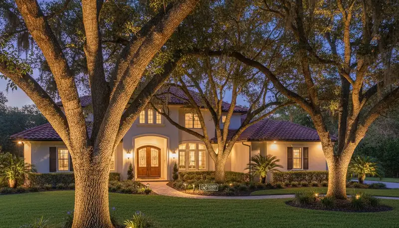 Uplit trees with dramatic shadows showcasing professional landscape lighting in Lakeland, FL